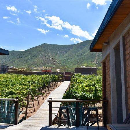 Bed and Breakfast UvaUva eco-retreat Valle de Guadalupe Esterno foto