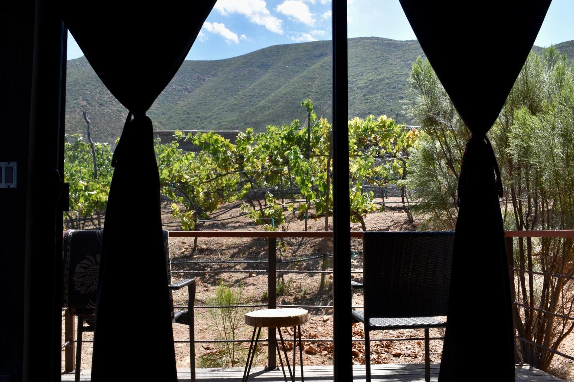Bed and Breakfast UvaUva eco-retreat Valle de Guadalupe Esterno foto