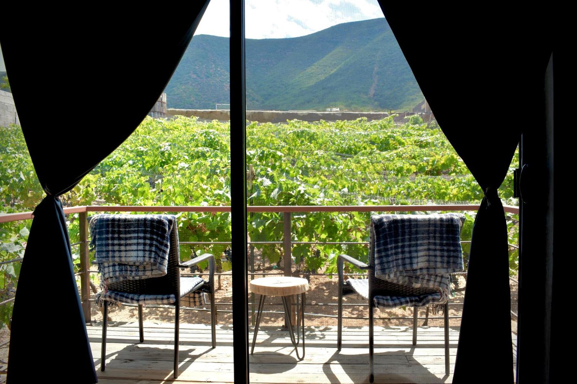 Bed and Breakfast UvaUva eco-retreat Valle de Guadalupe Esterno foto