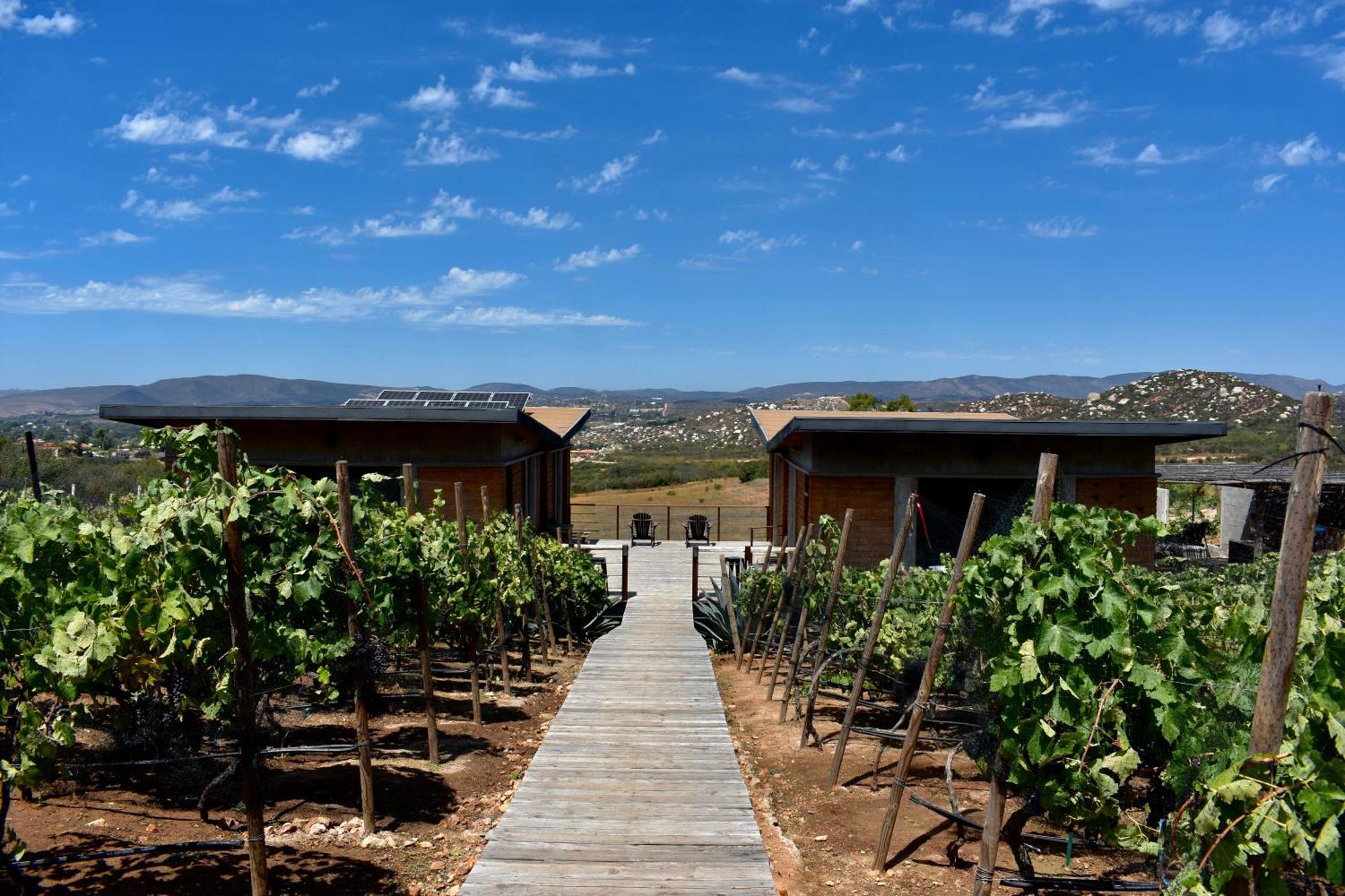 Bed and Breakfast UvaUva eco-retreat Valle de Guadalupe Esterno foto