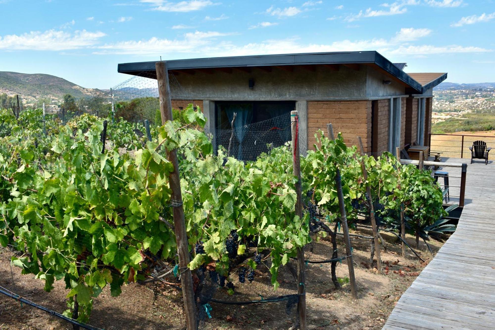 Bed and Breakfast UvaUva eco-retreat Valle de Guadalupe Esterno foto